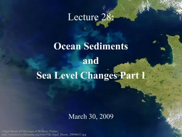 Lecture 28: Ocean Sediments and Sea Level Changes Part I March 30, 2009