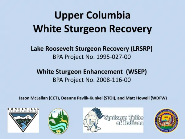 Upper Columbia White Sturgeon Recovery
