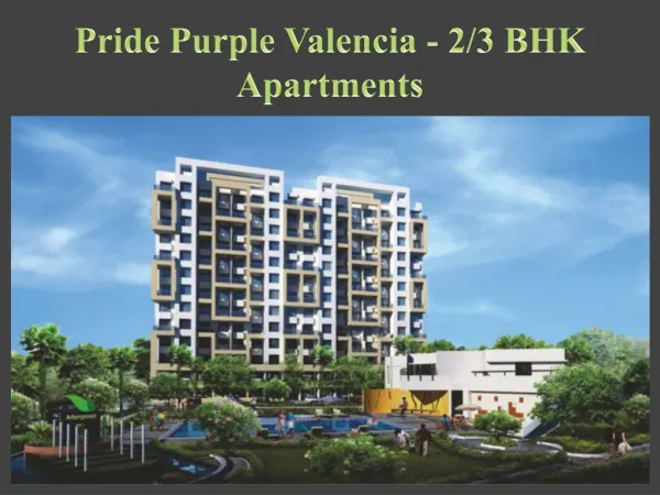 Pride Purple Valencia