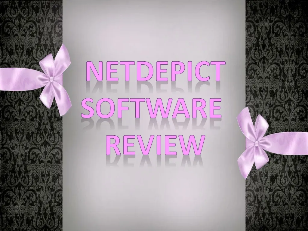 netdepict software review