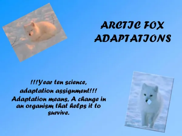 ARCTIC FOX ADAPTATIONS