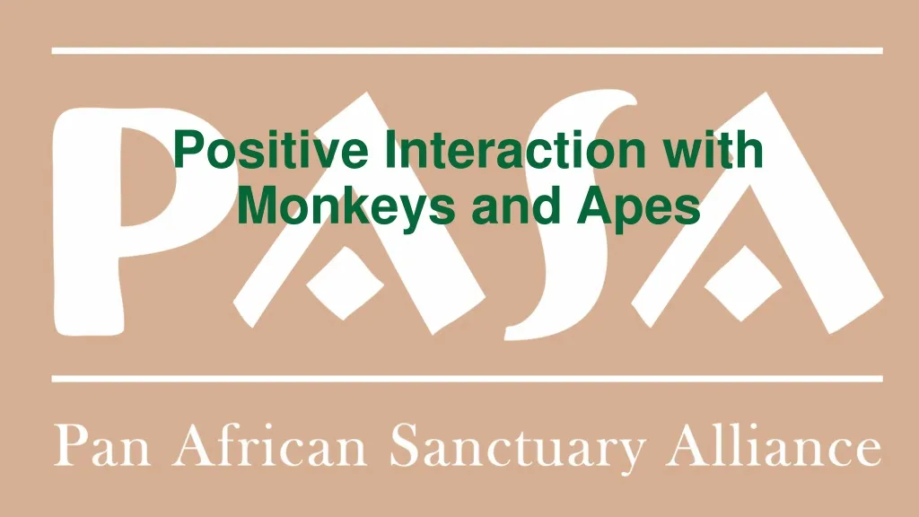positive interaction with monkeys and apes