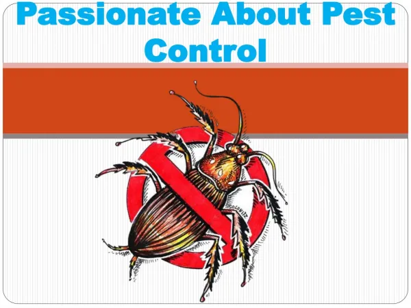 PASSIONATE ABOUT PEST CONTROL