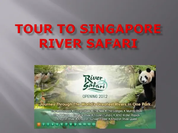 Go For Singapore River Cruise on This Weekend