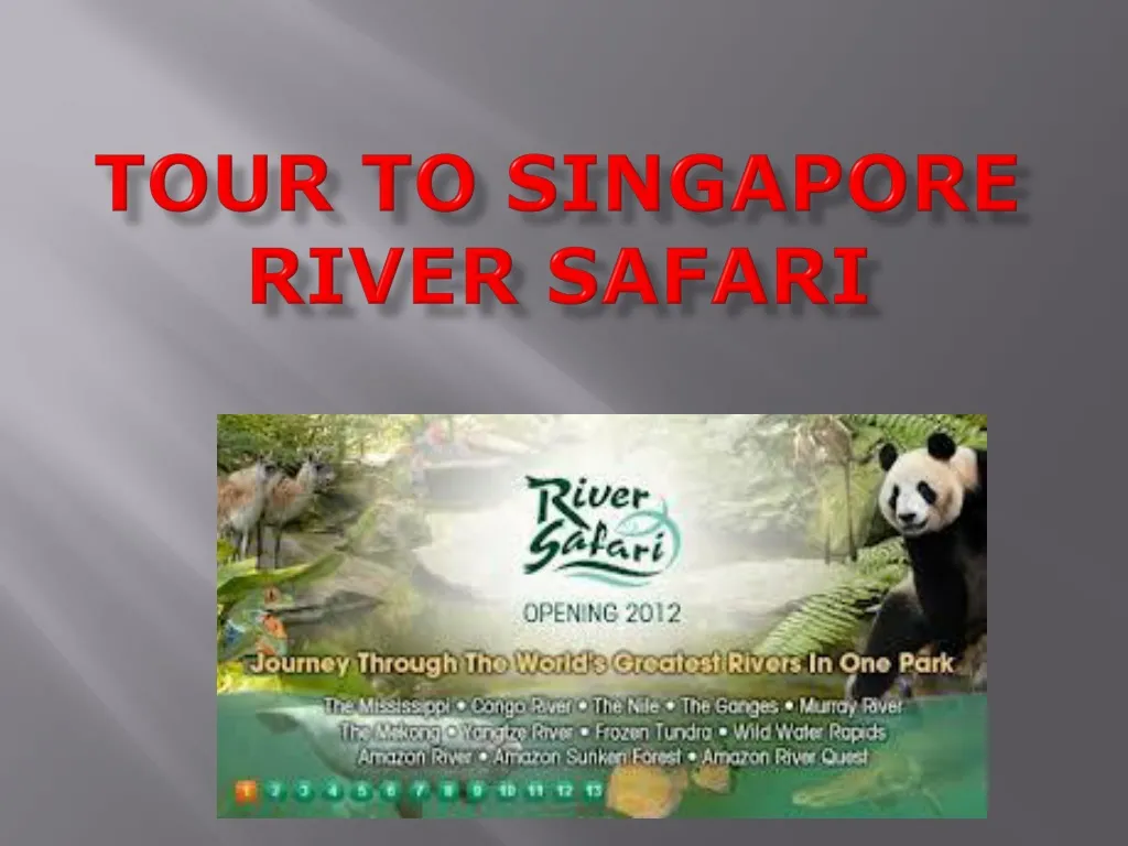 tour to singapore river safari