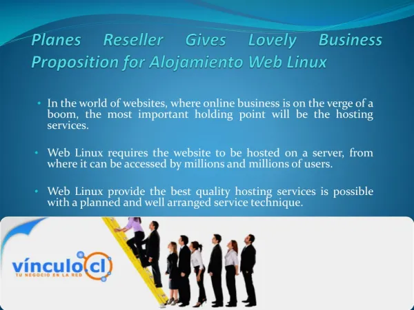 Planes Reseller Gives Lovely Business Proposition for Alojamiento Web Linux