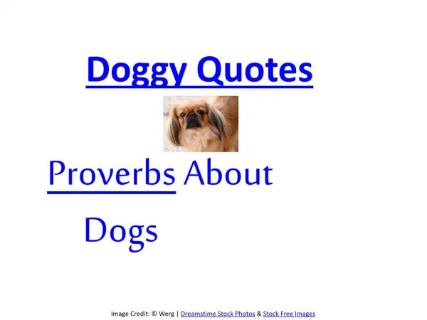 Proverbs about Dogs