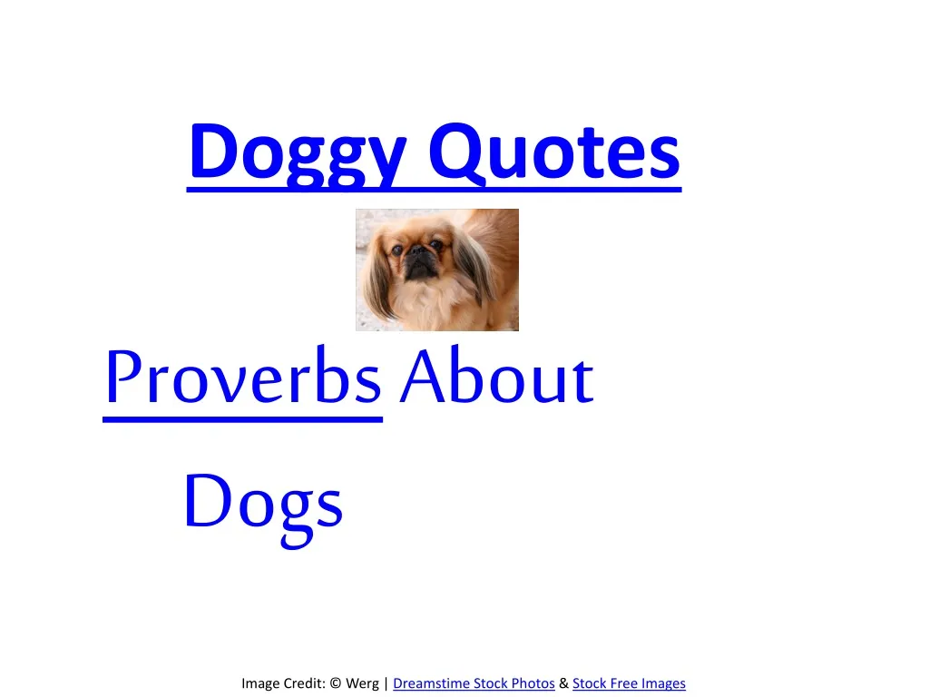 doggy quotes proverbs about dogs