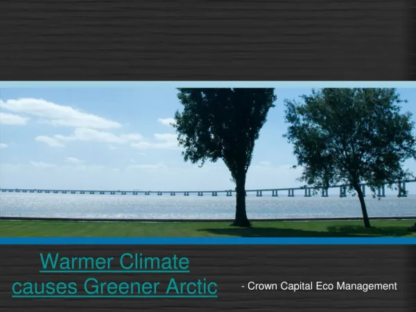 Warmer Climate causes Greener Arctic | Zimbio