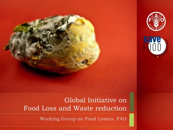 Global Initiative on Food Loss and Waste reduction