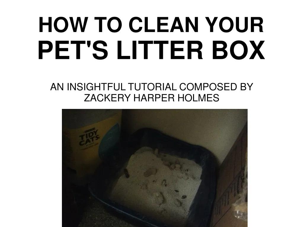 how to clean your pet s litter box