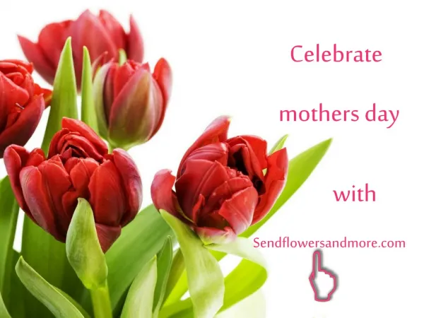 Mothers Day Flowers For Your Loving Mom