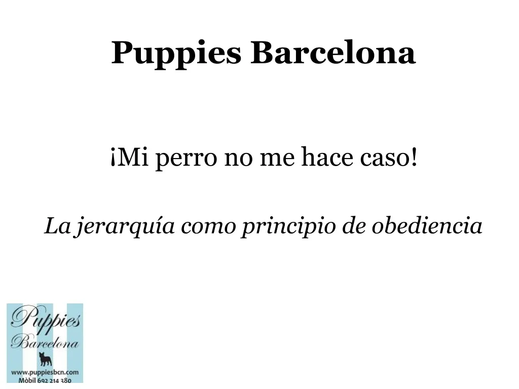 puppies barcelona
