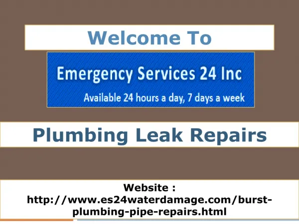 plumbing leak repairs
