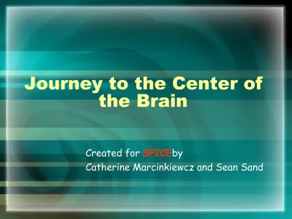 Journey to the Center of the Brain