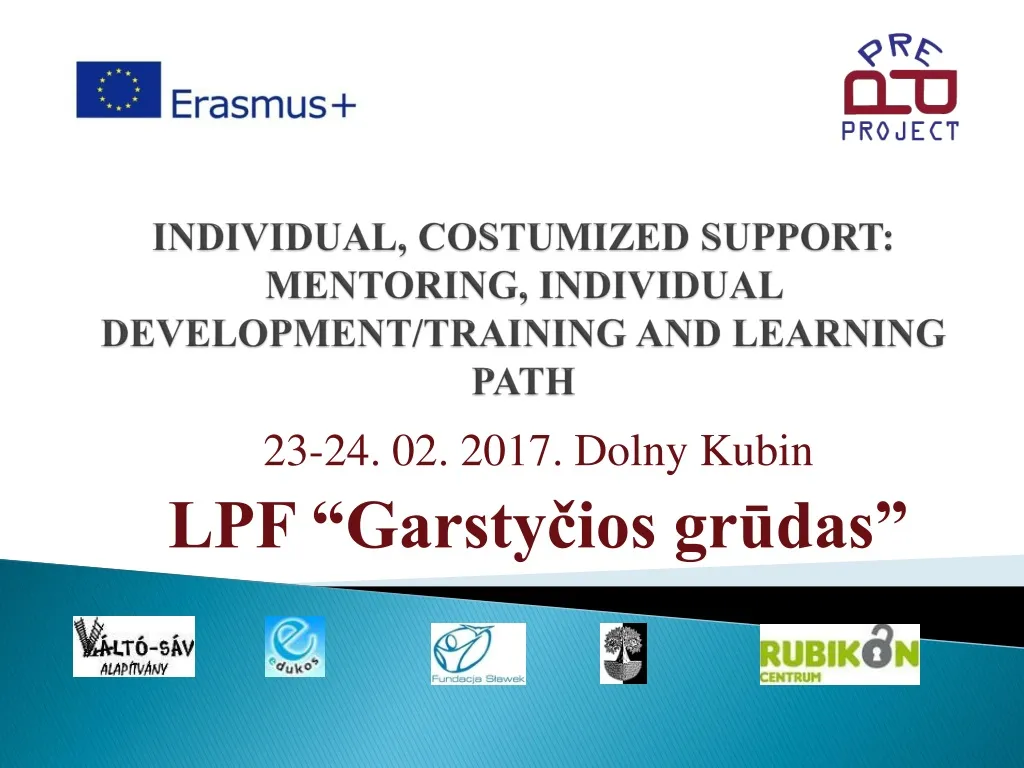 individual costumized support mentoring individual development training and learning path