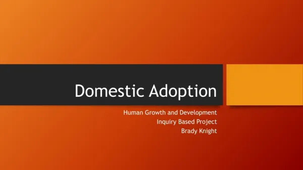 Domestic Adoption