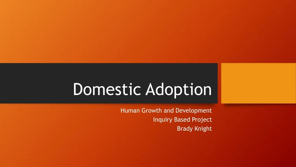 domestic adoption