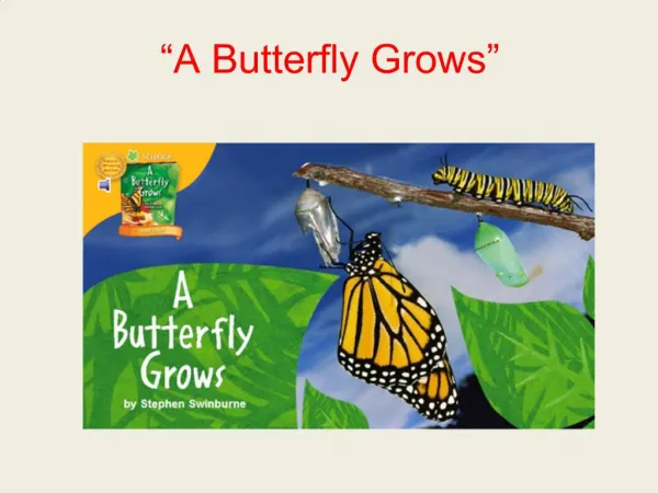A Butterfly Grows