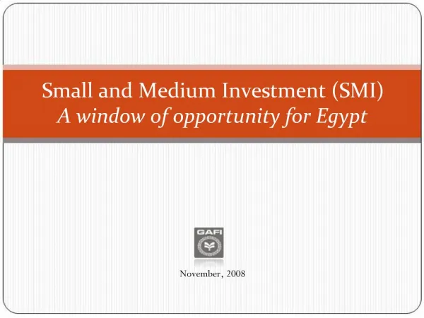 Small and Medium Investment SMI A window of opportunity for Egypt