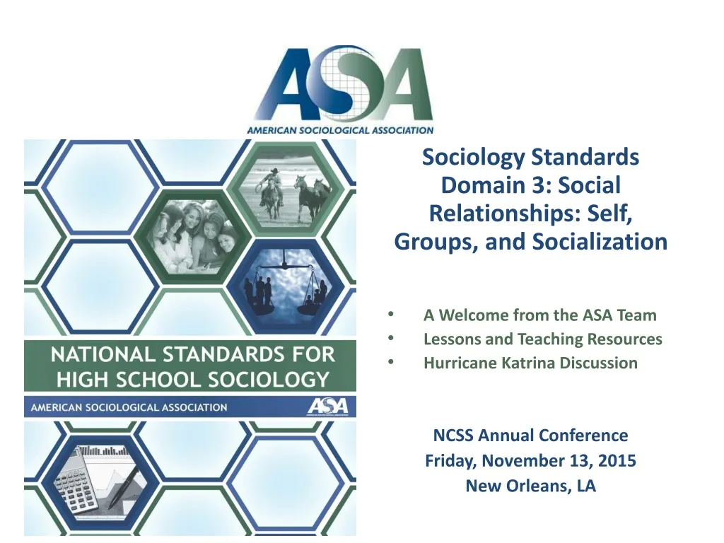 sociology standards domain 3 social relationships