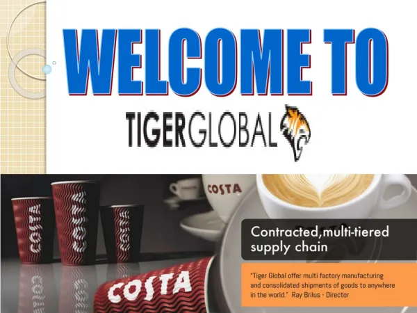 Tiger Global Ltd