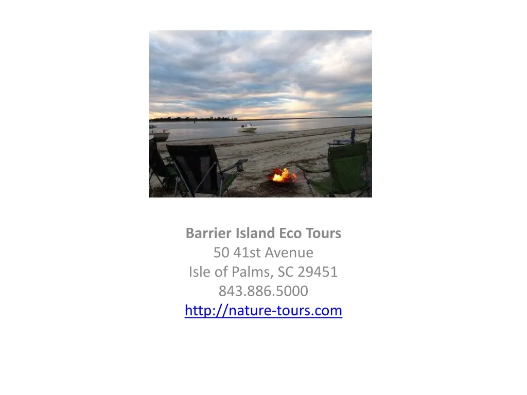 barrier island eco tours 50 41st avenue isle of palms sc 29451 843 886 5000 http nature tours com