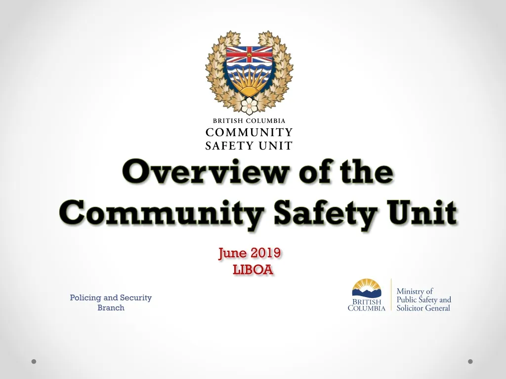 overview of the community safety unit