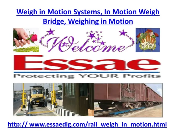 Weigh in Motion Systems, In Motion Weigh Bridge, Weighing in