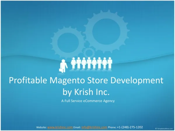 Profitable Magento Store Development by Krish Inc.