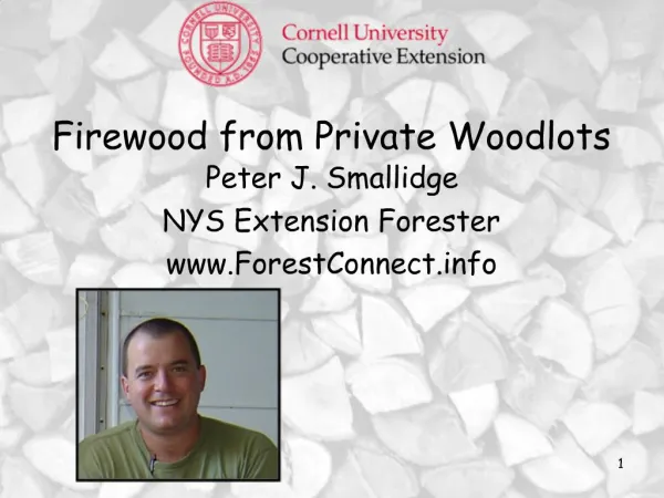 Firewood from Private Woodlots