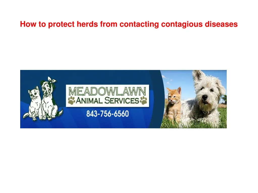 how to protect herds from contacting contagious diseases