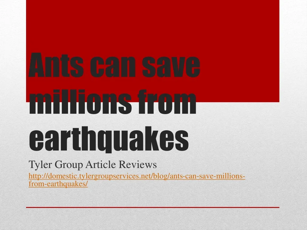 ants can save millions from earthquakes
