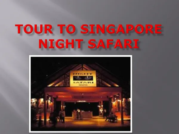 How to Plan Great Singapore City Tour
