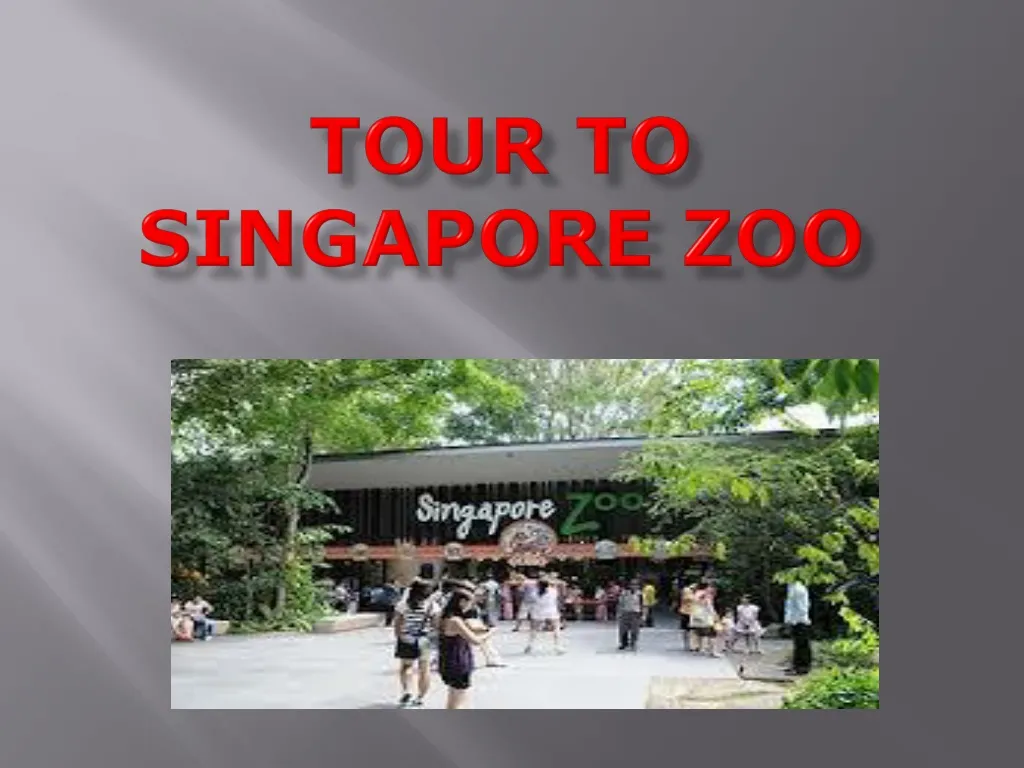 tour to singapore zoo