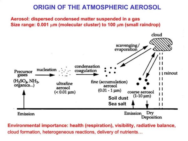 ORIGIN OF THE ATMOSPHERIC AEROSOL
