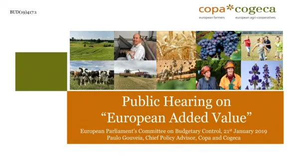 Public Hearing on “ European Added Value”