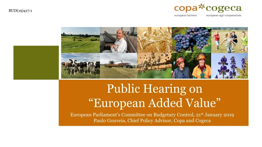 public hearing on european added value