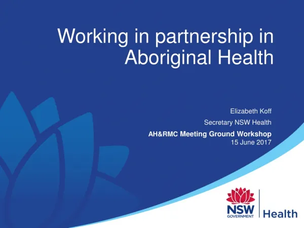 Elizabeth Koff Secretary NSW Health AH&amp;RMC Meeting Ground Workshop 15 June 2017