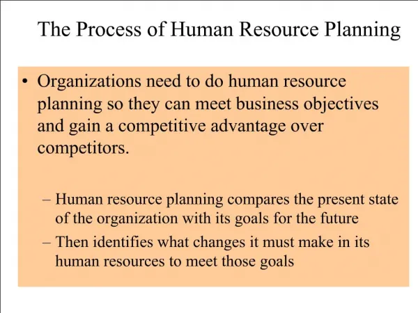 The Process of Human Resource Planning