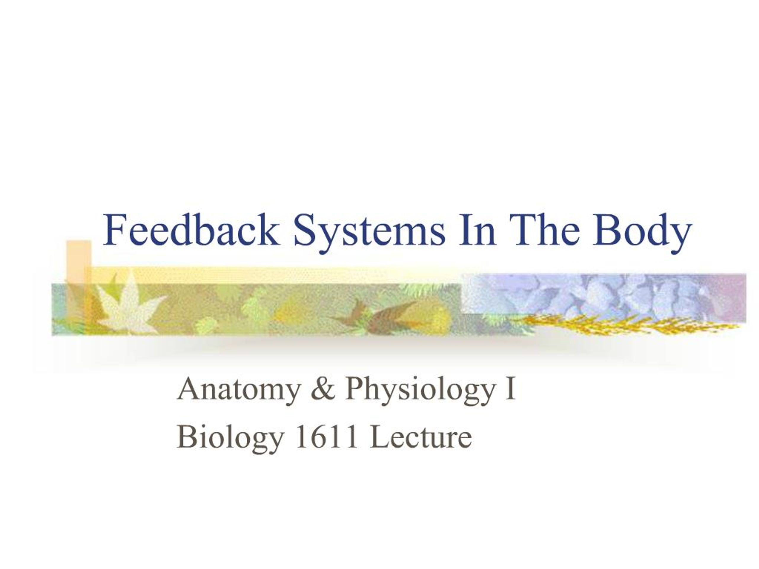 PPT - Feedback Systems In The Body PowerPoint Presentation, free ...