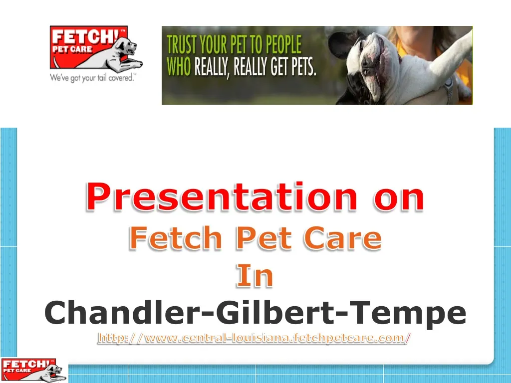 presentation on fetch pet care in chandler