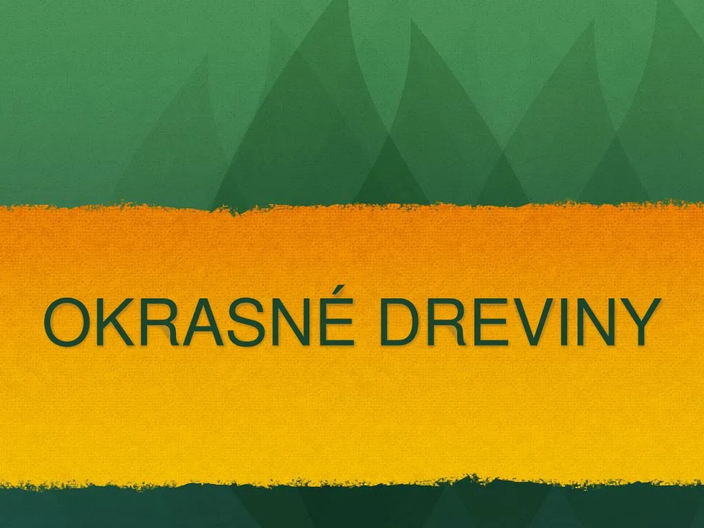 okrasn dreviny