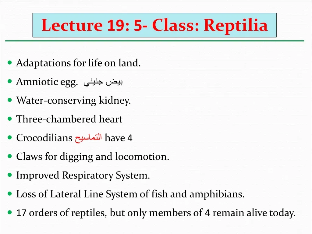 lecture 19 5 class reptilia