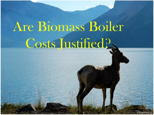 METACAFE - Are biomass boiler costs justified