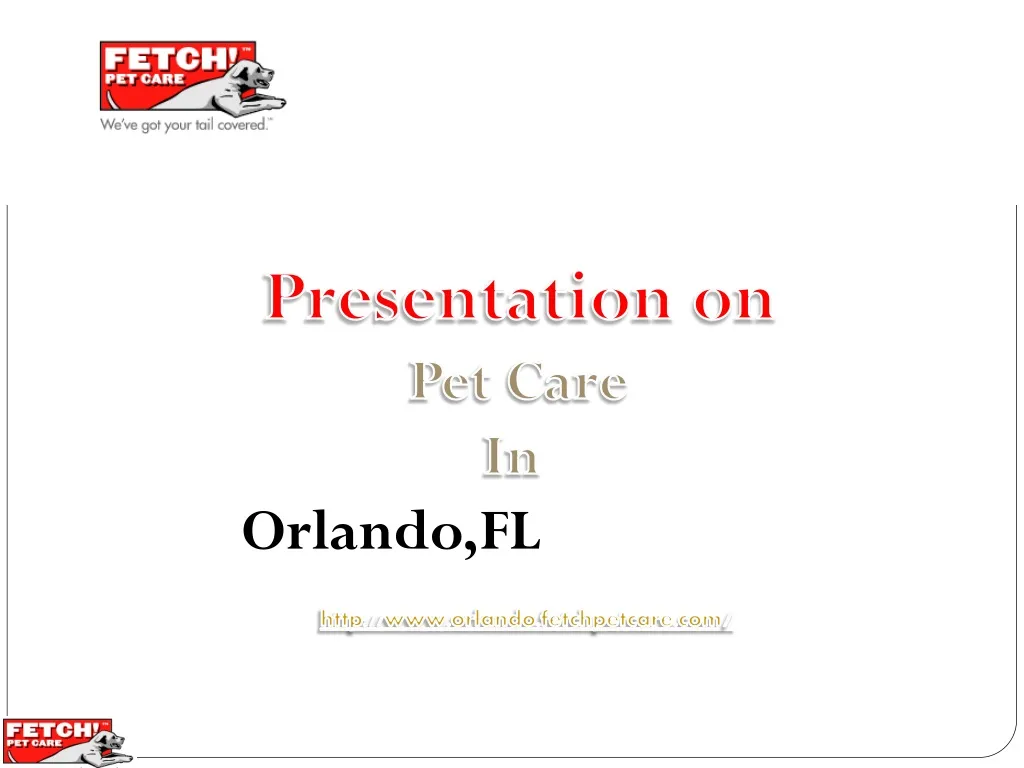 presentation on pet care in orlando fl http