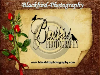 Blackbird Photography - Atlanta Wedding Photographer - slide 1
