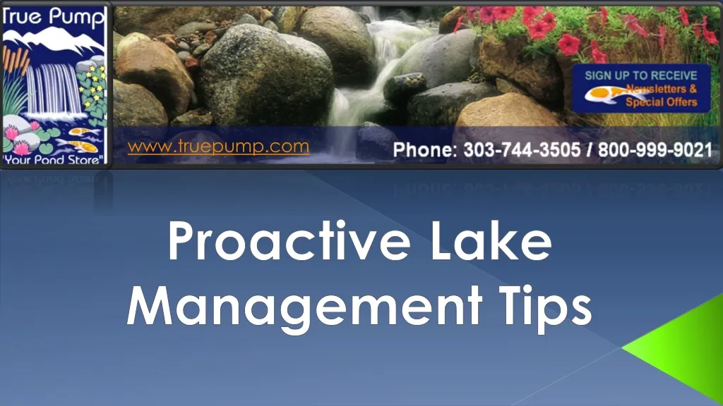 proactive lake management tips