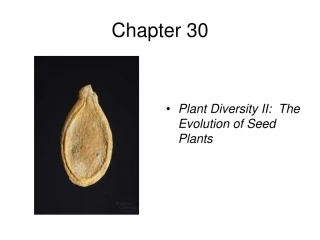 Chapter 30 - slide 1
