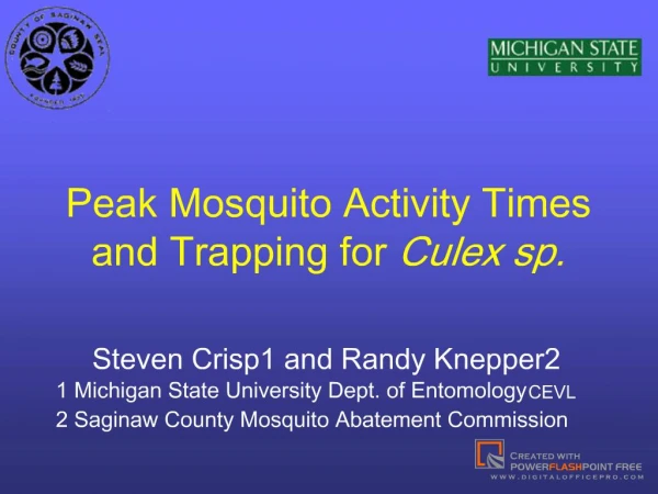 peak mosquito activity times and trapping for culex sp.